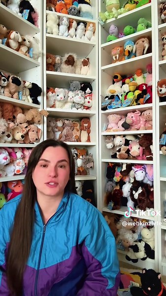 Webkinz Collecting for Plush Toy Enthusiasts