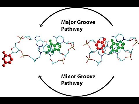 Major vs minor groove