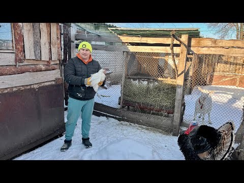 Everyone's been put away. We don't need them for now.