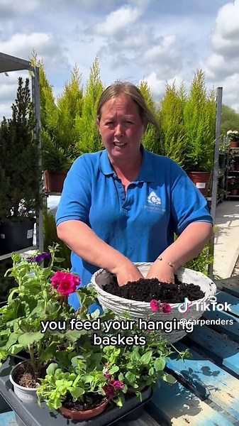How to Make a Beautiful Hanging Basket: Expert Tips & Favorite Plants