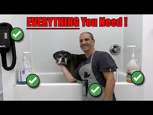 How to Prepare Your Dog for a Bath | Grooming Setup Tips + Special Announcement!