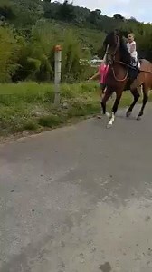 17K views · 227 reactions | You can ask the animals, and they will teach you... ◄ Job 12:7 | We Serve The Lord. | Facebook