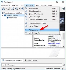 Teamspeak 3 Privilege Key Generator
