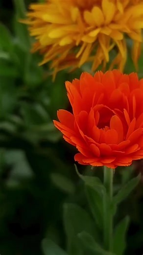 Alta calidad. Para exterior. Colores disponibles. #pinturasCebra