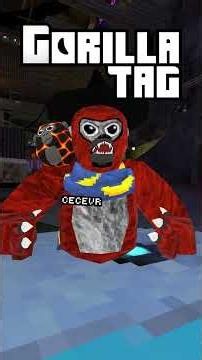 I Raided Small Streamers #gtag #vr #gorillatag #gorillatagquest #gorillatagfun #ceceforAAC