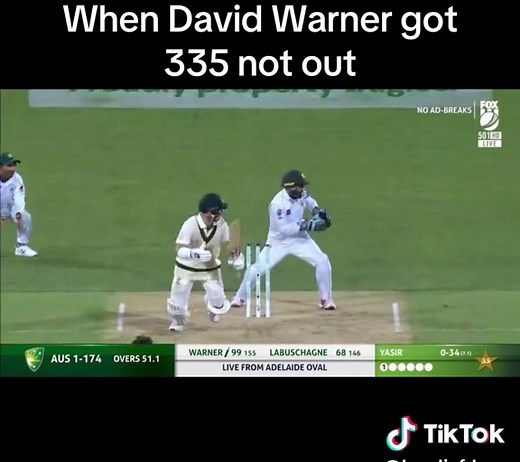 David Warner's Historic 335 Not Out Against Pakistan