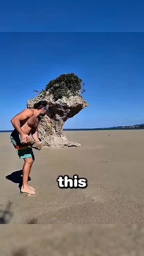 39K views · 98 reactions | Quicksand Reveal #science #facts #sciencefacts #shorts | Know The Daily Facts | Facebook