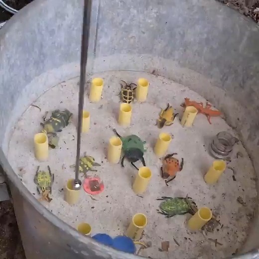 170K views · 296 reactions | 者 We hope you don’t mind creepy crawlers 者 This #geocache is a great example of why having TOTTs is a must. Video by sylvia_174_gc. #geocaching | Geocaching | Facebook