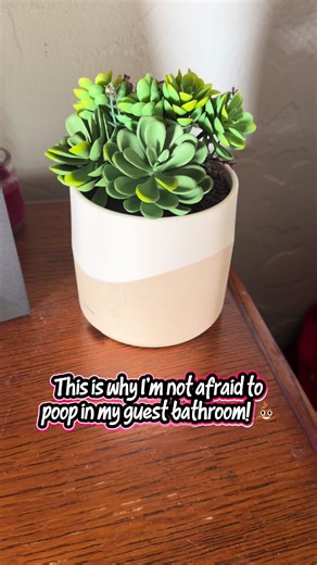 Lifelines faux plant diffuser from @QVC, Inc #diffuser #oildiffuser #homefragrence #lifelines #homedecor