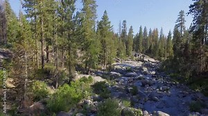 Aerial flyover of man fly fishing in Dinkey Creek in the California Sierra Nevadas.