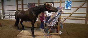 15K views · 68 reactions | One of central Indiana's hottest new...