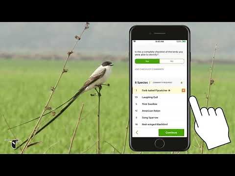 Reporting Unusual Birds on eBird Mobile - eBird Essentials
