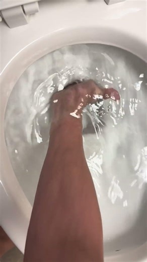 2005 American standard comfort height cadet toilet siphoning out!