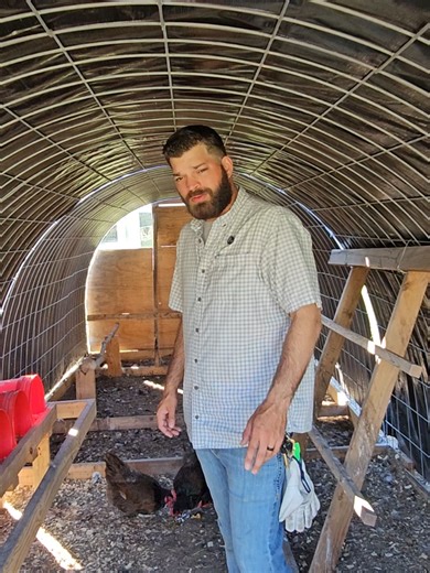 Nesting Box Set Up for Backyard Chickens