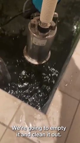 Step-by-Step Guide to Deep Cleaning an Indoor Pool And You Will Be Stunned by the Results