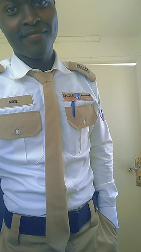 Understanding Hand Gestures in Security Contexts