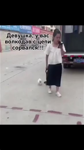 Hilarious Compilation of Funny Moments and Jokes