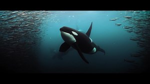 152 reactions · 4 comments | The RED Arsenal is the most powerful and versatile lineup of cinema cameras in the world. | RED Digital Cinema | Facebook