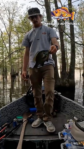 Shellcracker Shuffle! #santeecooper | Tristen Rogers