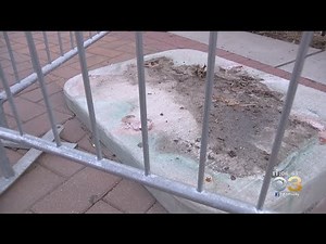 Kate Smith's Family Disgusted With Flyers After Removal Of Statue