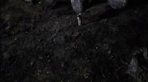 VID-20180117-WA0016.mp4