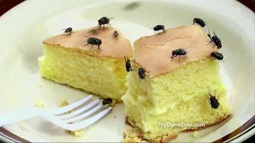 DynaTrap TV Spot, 'No More'