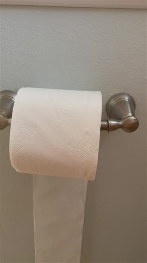 Putting the toilet paper roll on the holder the CORRECT way. #toiletpa...