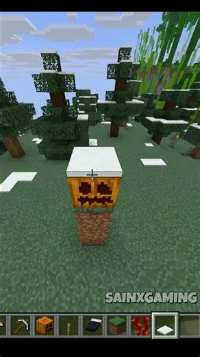 99% of Players Don't Know This Viral Hack! 🤫🔥#minecraft #technogamerz #gaming #viralshort