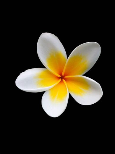 Explore Viral Songs with Slow and Reverb Edits