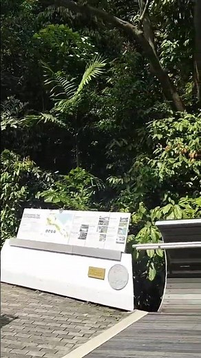 Southern Ridges Hiking Trail [Singapore]
