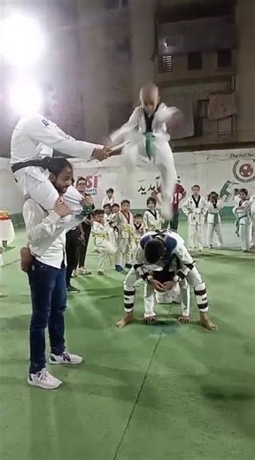 Taekwondo Board Breaking! for each Belt Level