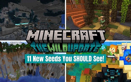 【熟】开启一个新世界的11个最好的Minecraft1.19种子[JAVA]