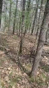 Robert J. Gilbert PhD - Gone Suddenly