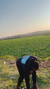 MOTION NGWANAKA MORULA SUN | Dr Tebogo Makena Consulting