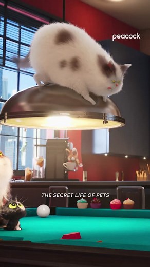 Unlock the Secrets of Pets with Peacock Streaming