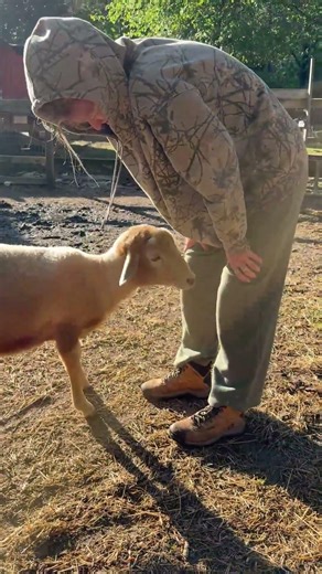 Huck loves our intern Kenly!