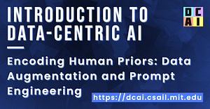 Encoding Human Priors: Data Augmentation and Prompt Engineering