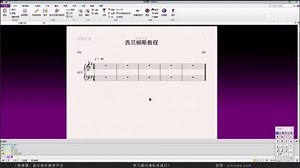 【Sibelius打谱软件教程】界面调整