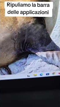 declutter your taskbar