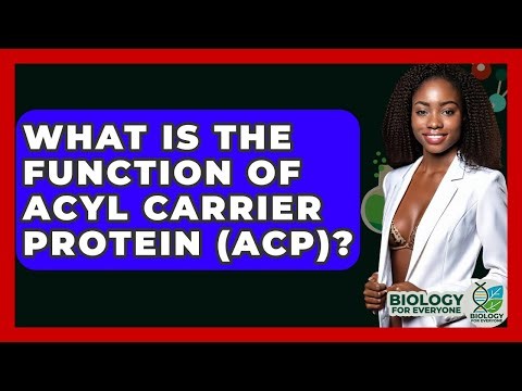 What Is The Function Of Acyl Carrier Protein (ACP)? - Biology For Everyone