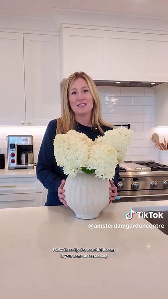 Hydrangea Cutting 101: Tips for Timing and Care