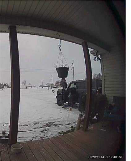 It’s the giggle at the end for me 🤣🤣 he didn’t even try #snow #snowfail #ice #ky #funny