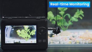 Watch Fish lovers need an Fishing Camera! on Amazon Live
