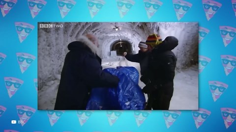 100 Strange but Real Animal Hybrids You Must See – 2022