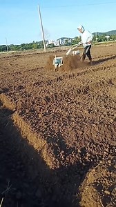 Agriculture Is Improving Production with help of machine. | Dalvis Madagascar Page