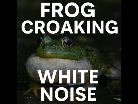 🐸 Frog Croaking White Noise for Sleeping, Studying, and Relaxing | ASMR 🌿