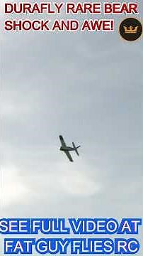 DURAFLY RARE BEAR SHOCK AND AWE! by FGFRC #aviation #airplane #rcplane