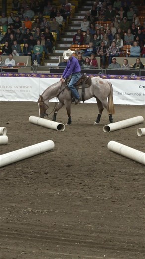 Easy Horse Training Techniques for Better Results