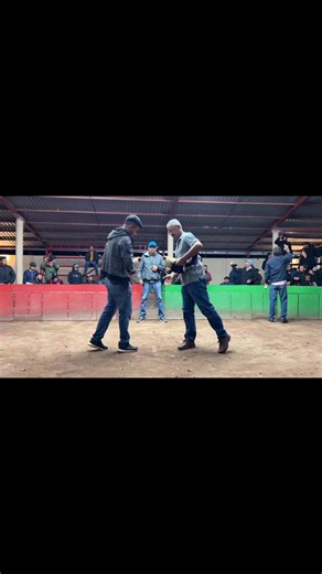 Clement asil | Luis Alberto Camacho Cardenas