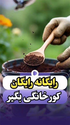 ‎کود ارگانیک /گل و گیاه/باغچه/کشاورزی‎ on Instagram‎: "♥️♥️لایک کن و برای دوستات بفرست ♥️♥️ ♥️♥️برای ترفند های بیشتر پیج فالو کن ♥️♥️"‎